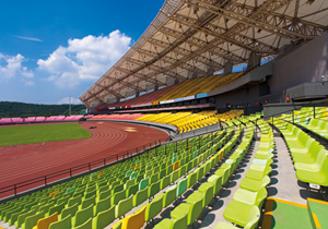 Confair-H2® Foldable Stadium Pain-stopper